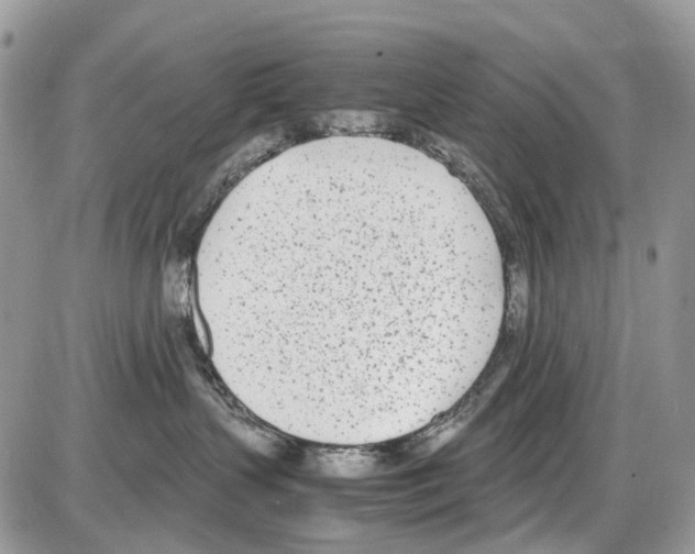 X0000086110383200704202312