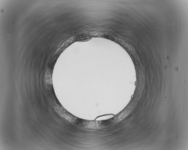 X0000086110384200704202312