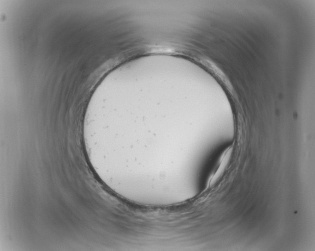 X0000086110385200704202311