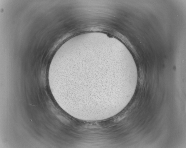 X0000086110386200704202311