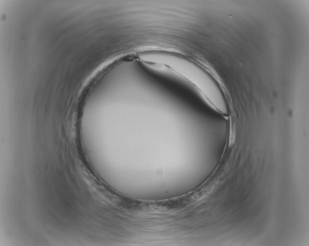 X0000086110387200704202311