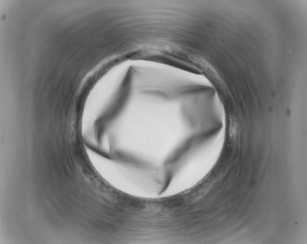 X0000086110388200704202311