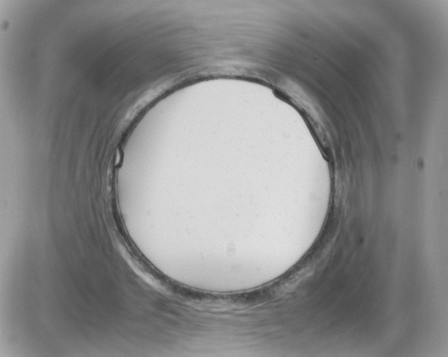 X0000086110389200704202311