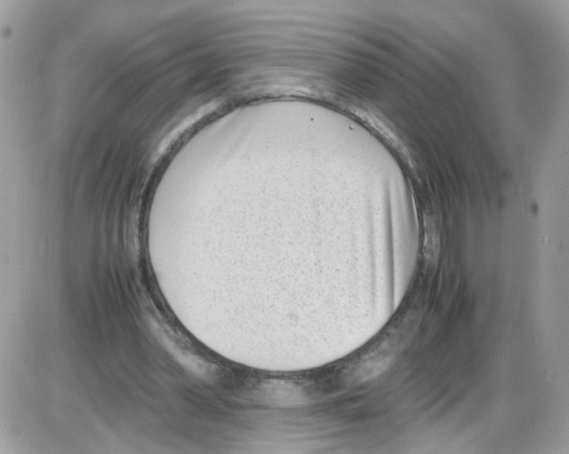 X0000086110390200704202311