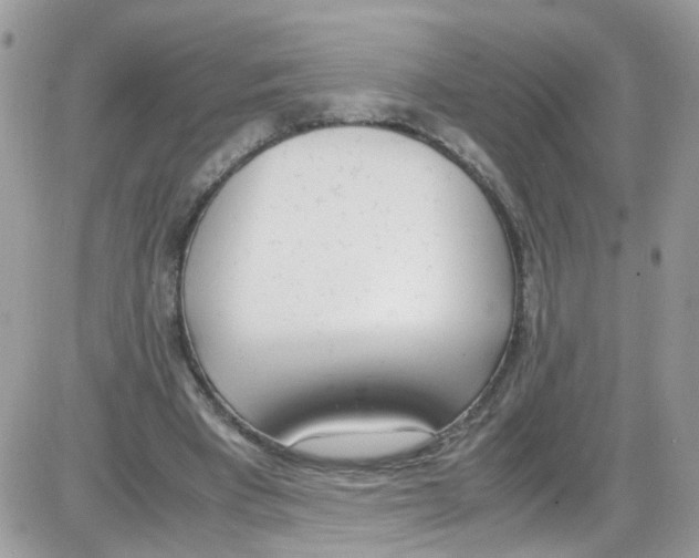 X0000086110393200704202311