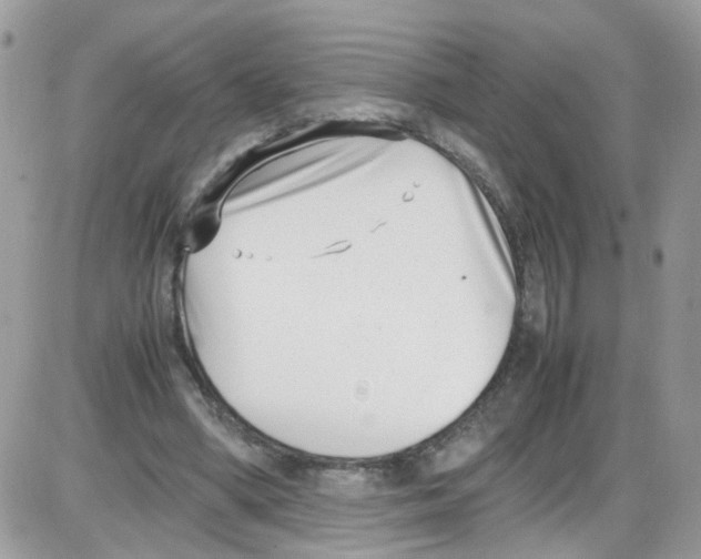 X0000086110394200704202311