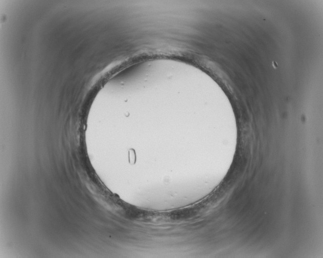 X0000086110395200704202311