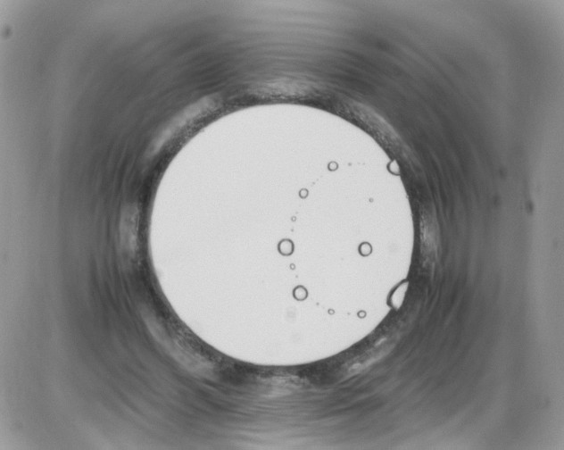 X0000086110396200704202311