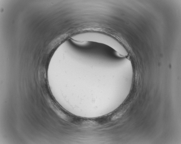 X0000086110397200704202311