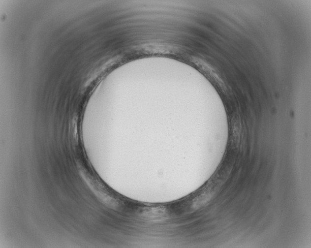 X0000086110398200704202311