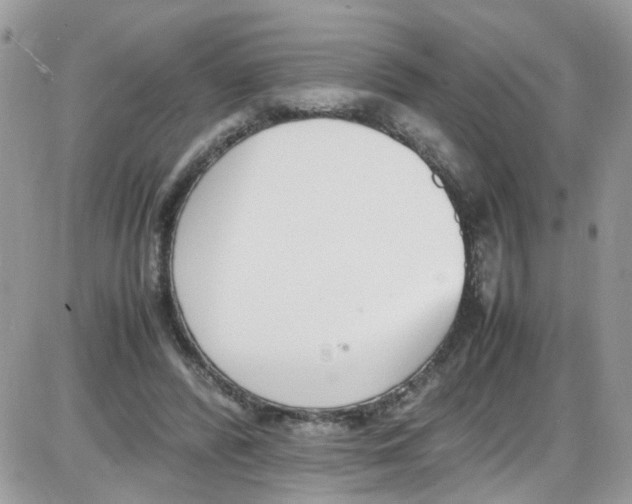 X0000086110400200704202311