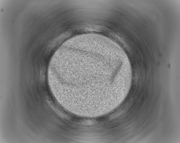 X0000086110402200704202311