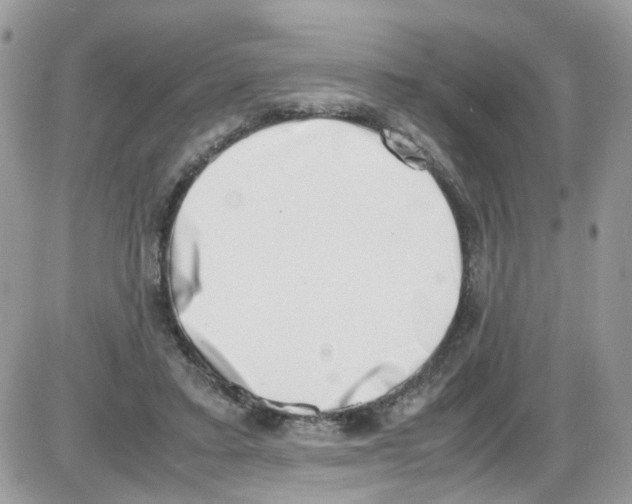 X0000086110403200704202311