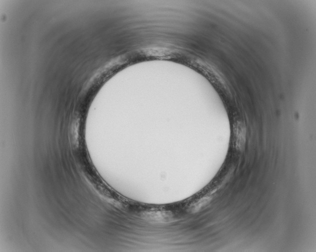 X0000086110404200704202311