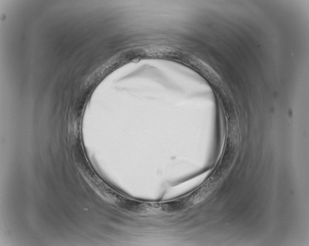 X0000086110405200704202311