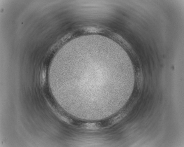 X0000086110406200704202311