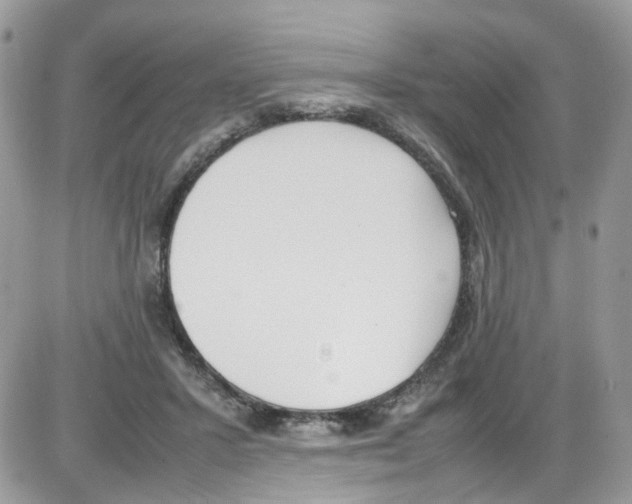 X0000086110407200704202311