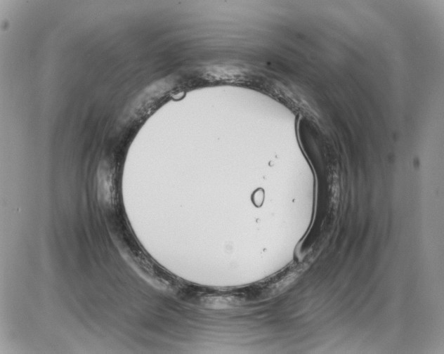 X0000086110408200704202311