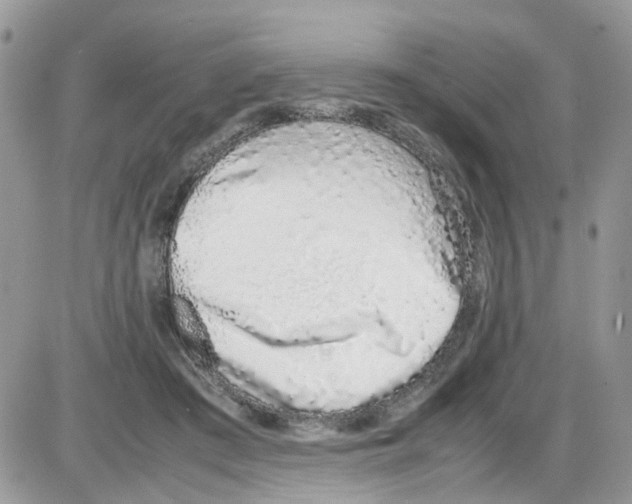 X0000086110409200704202311