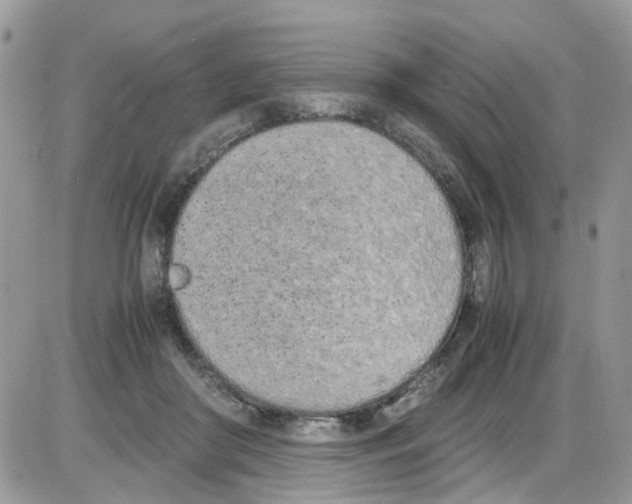 X0000086110410200704202311