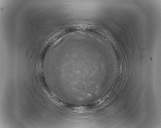 X0000086110411200704202311