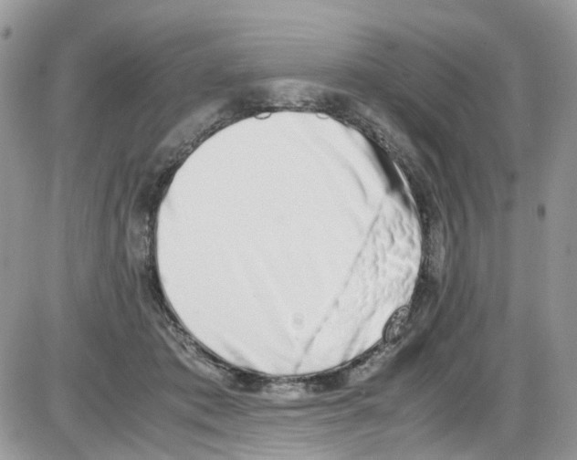 X0000086110413200704202311