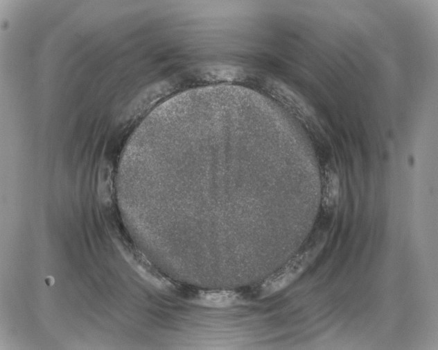 X0000086110414200704202311