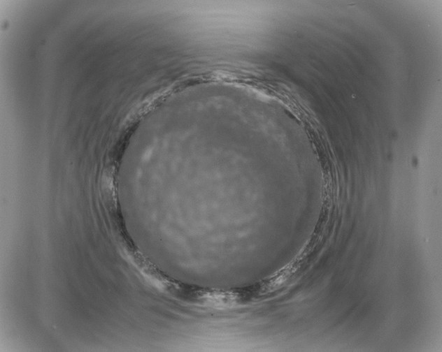 X0000086110415200704202311