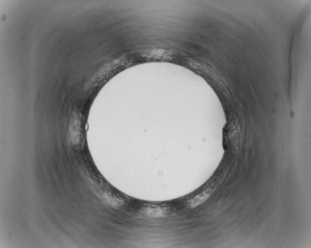 X0000086110416200704202311