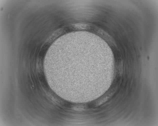 X0000086110418200704202310