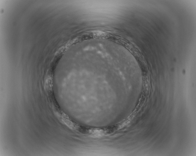 X0000086110419200704202310