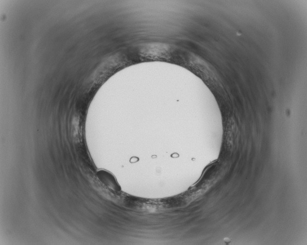 X0000086110420200704202310