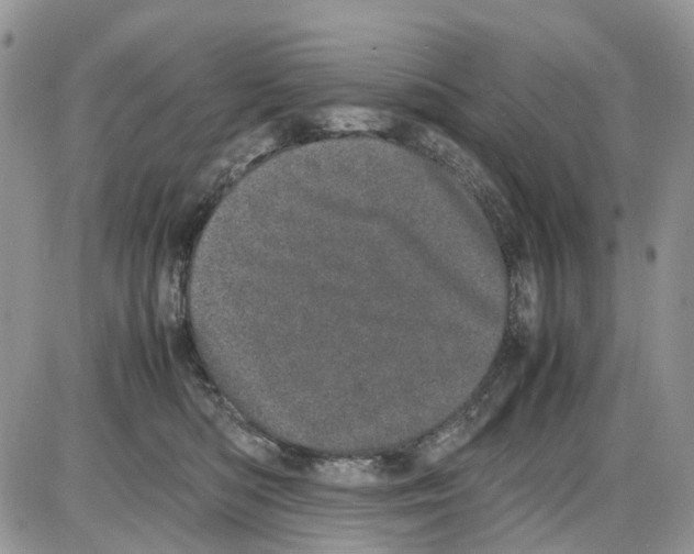 X0000086110422200704202310