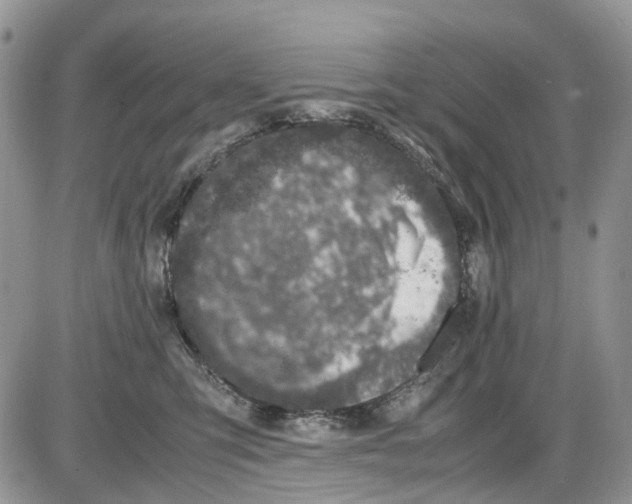 X0000086110423200704202310