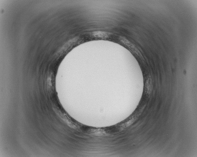 X0000086110424200704202310