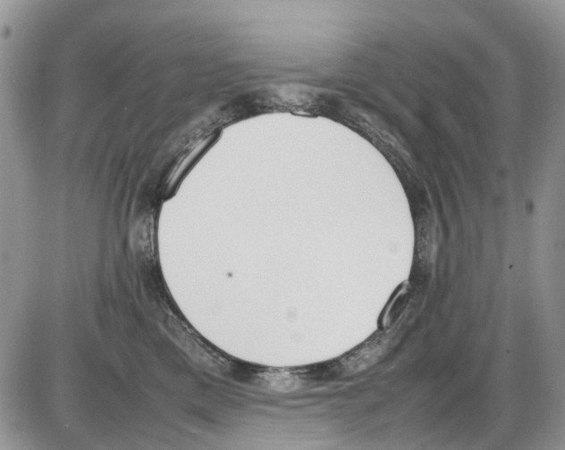 X0000086110425200704202310