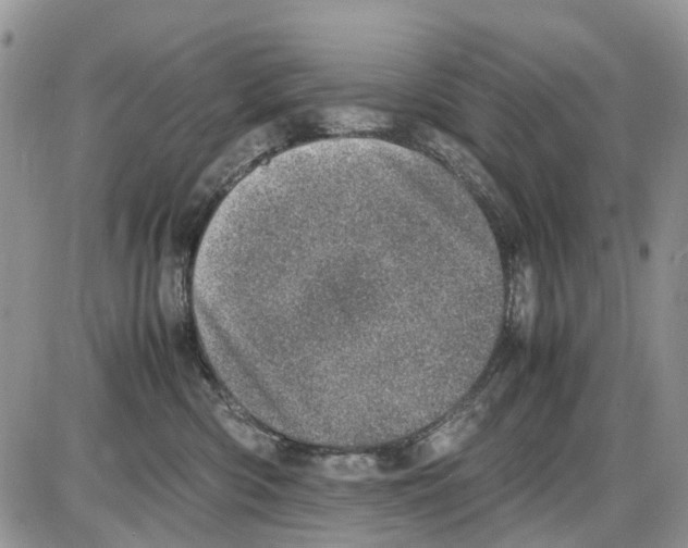 X0000086110426200704202310