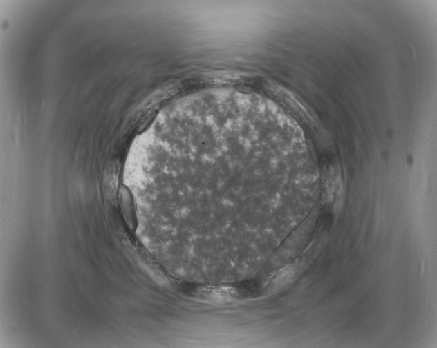 X0000086110427200704202310