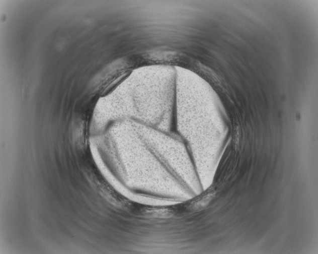 X0000086110428200704202310