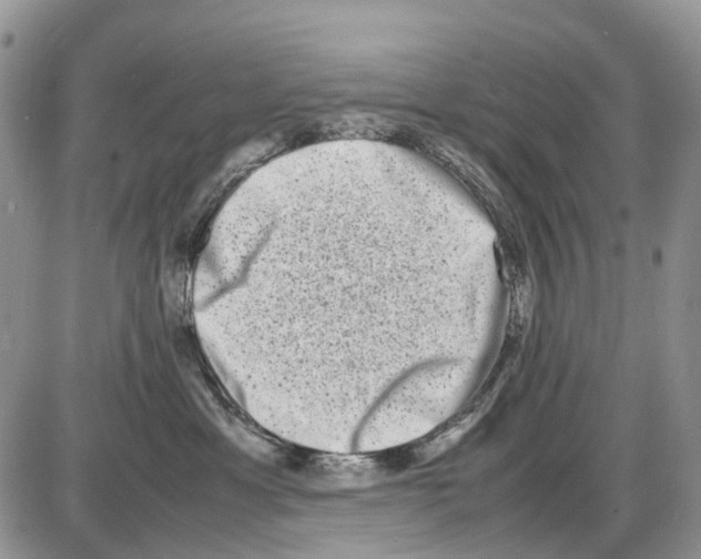 X0000086110429200704202310