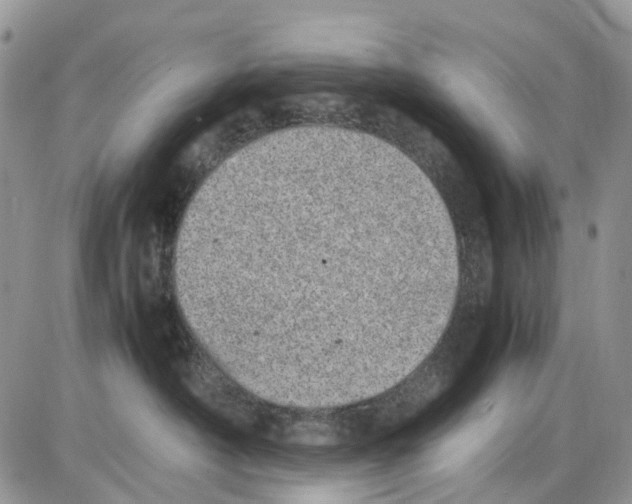 X0000086110430200704202310