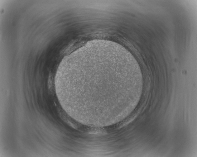 X0000086110432200704202310