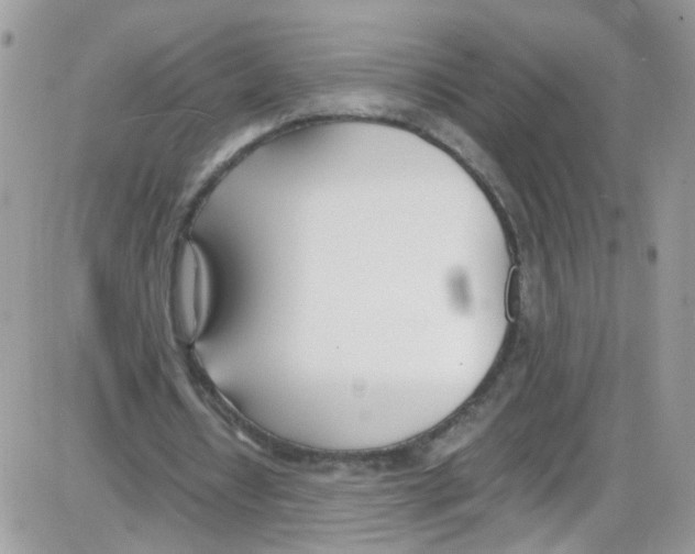 X0000086110434200704202309