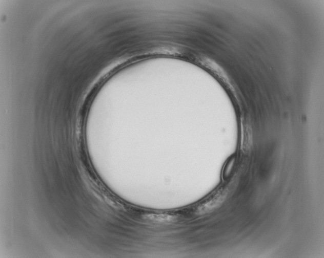 X0000086110435200704202310