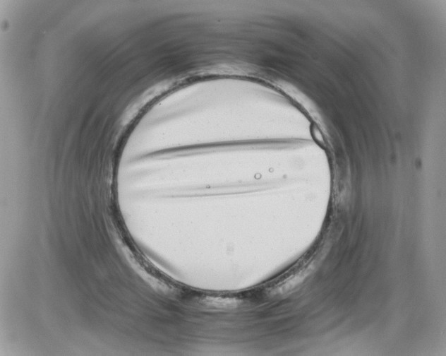 X0000086110437200704202310