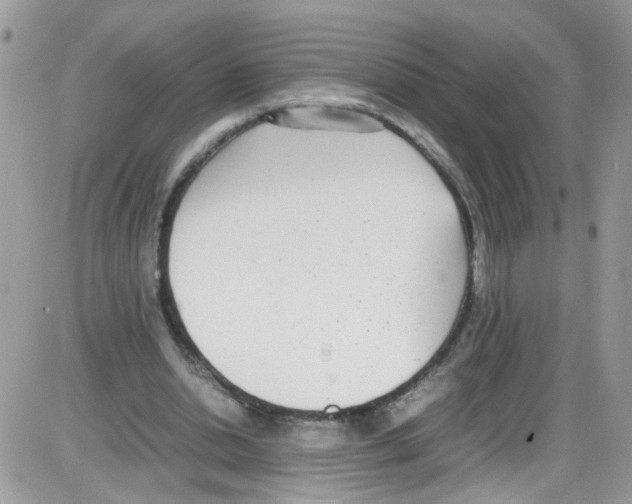 X0000086110438200704202310