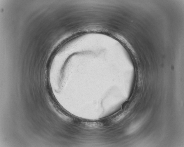 X0000086110439200704202310