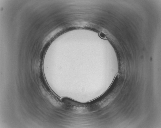 X0000086110440200704202310