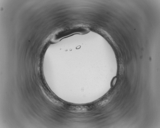 X0000086110443200704202310