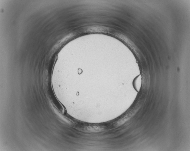 X0000086110445200704202310